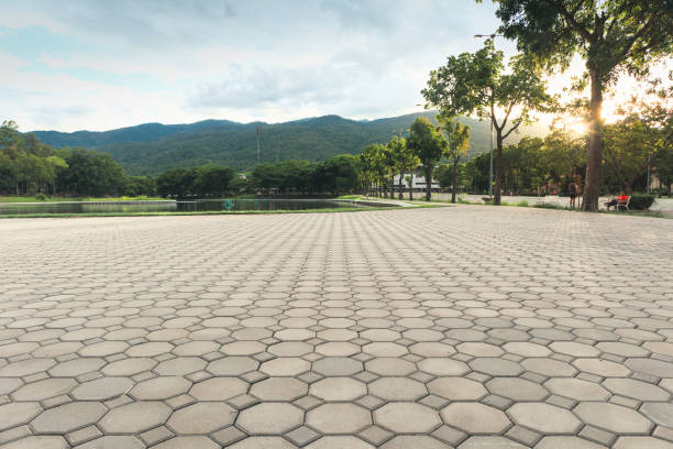 Best Driveway Paving Contractor  in Tunica, MS